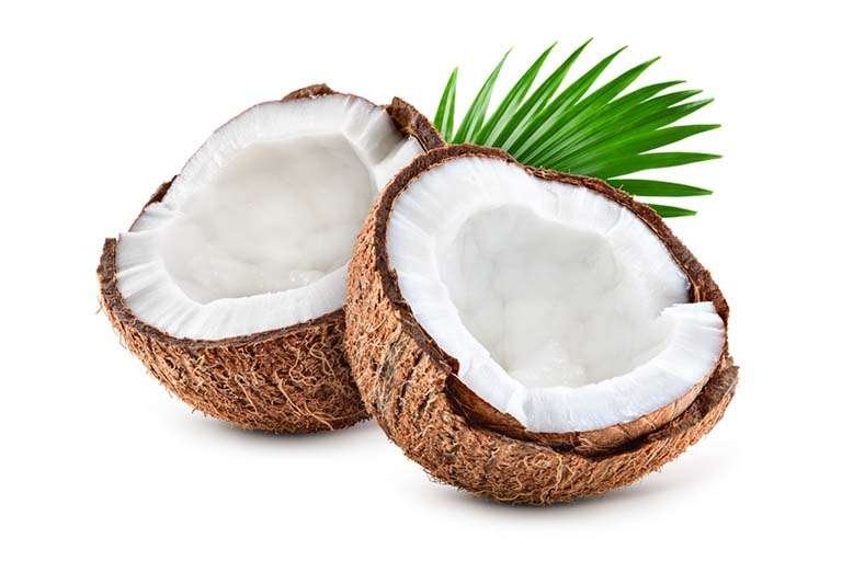 Two halves of a fresh coconut with coconut palm leaf