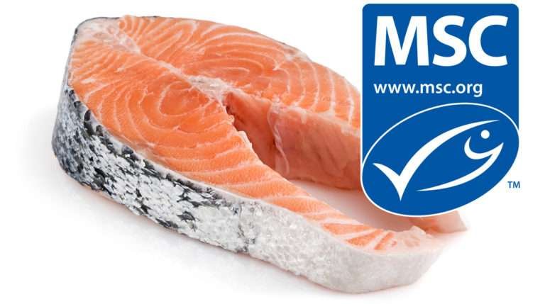 Salmon steak with MSC certification logo
